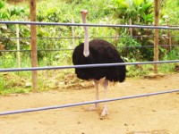 El Parque Real de Puyo