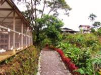 El Parque Real de Puyo