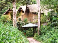 El Paseo Tur&iacute;stico del R&iacute;o Puyo