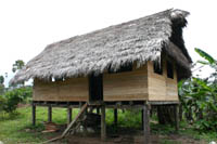 Cascadita de Tashapi 