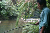 Cascadita de Tashapi 